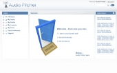 עיצוב אתר Audio Pitcher
