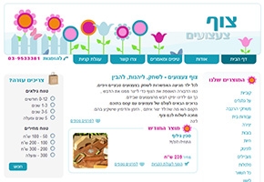 עיצוב אתר צוף צעצועי עץ